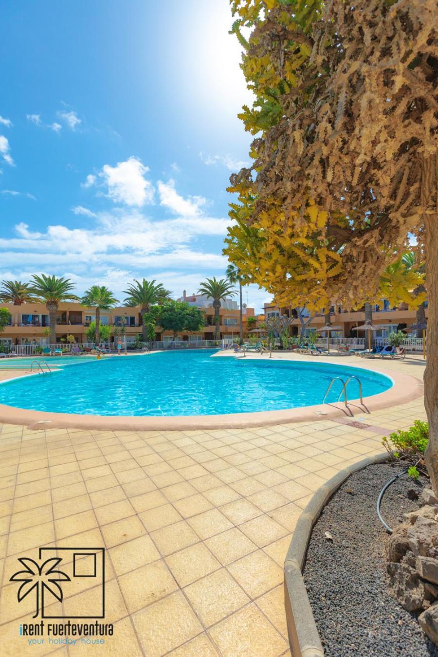 Hola Bent Pool And Terrace Irent Fuerteventura Appartement Corralejo Buitenkant foto